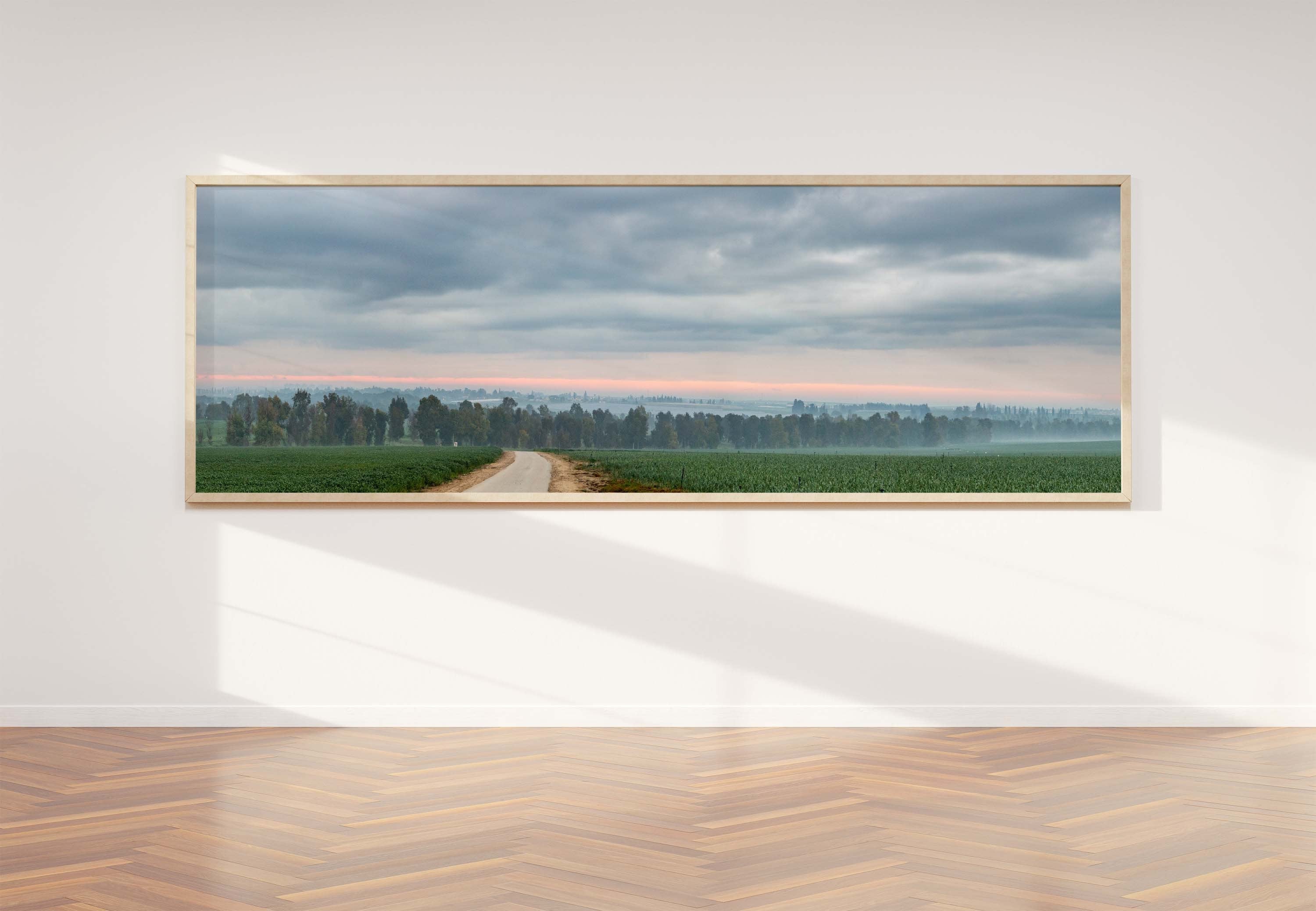Panoramic Holy Land Israeli Cloudy Sunrise Landscape with Green Field, Trees and Clouds