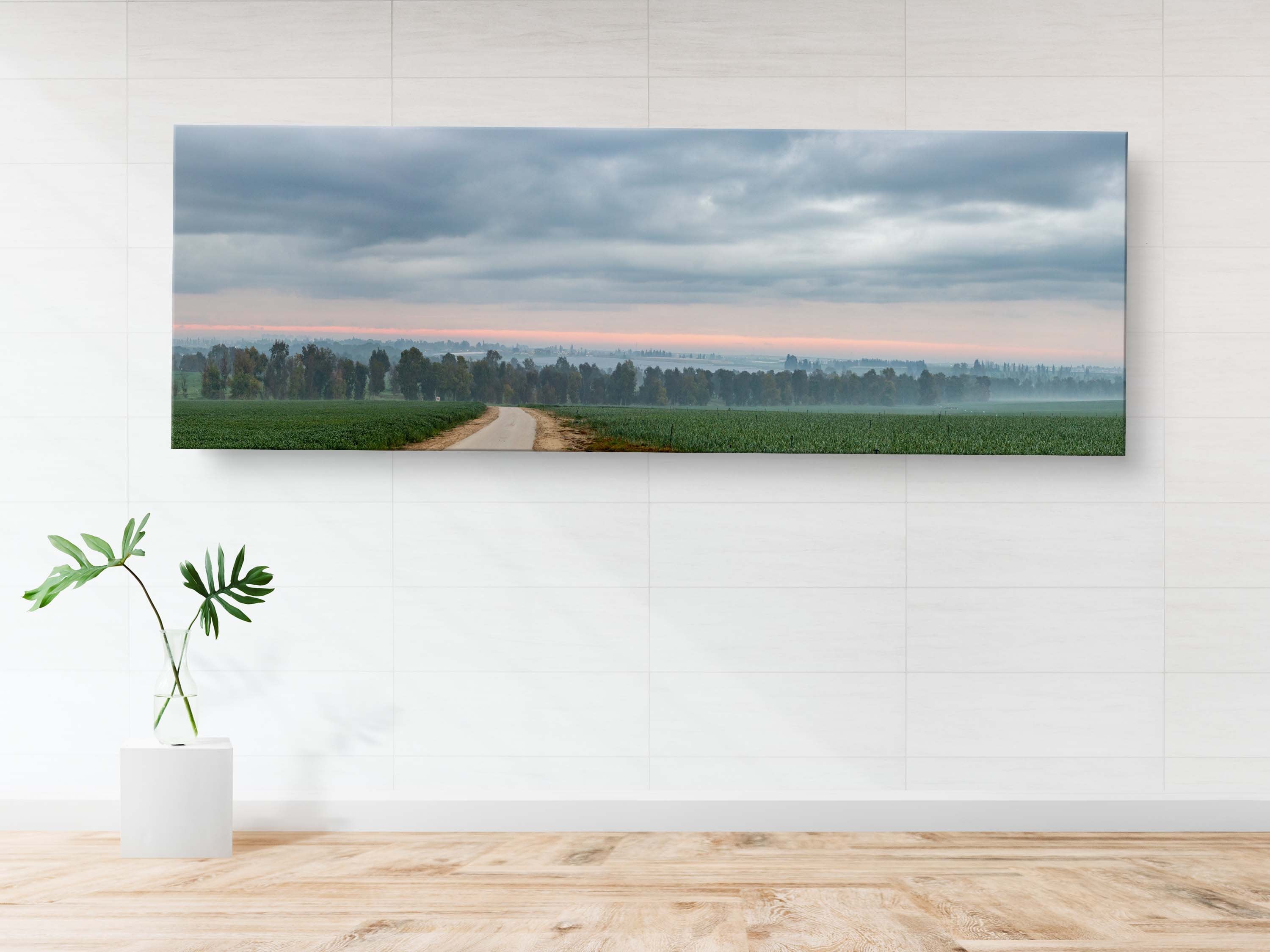 Panoramic Holy Land Israeli Cloudy Sunrise Landscape with Green Field, Trees and Clouds