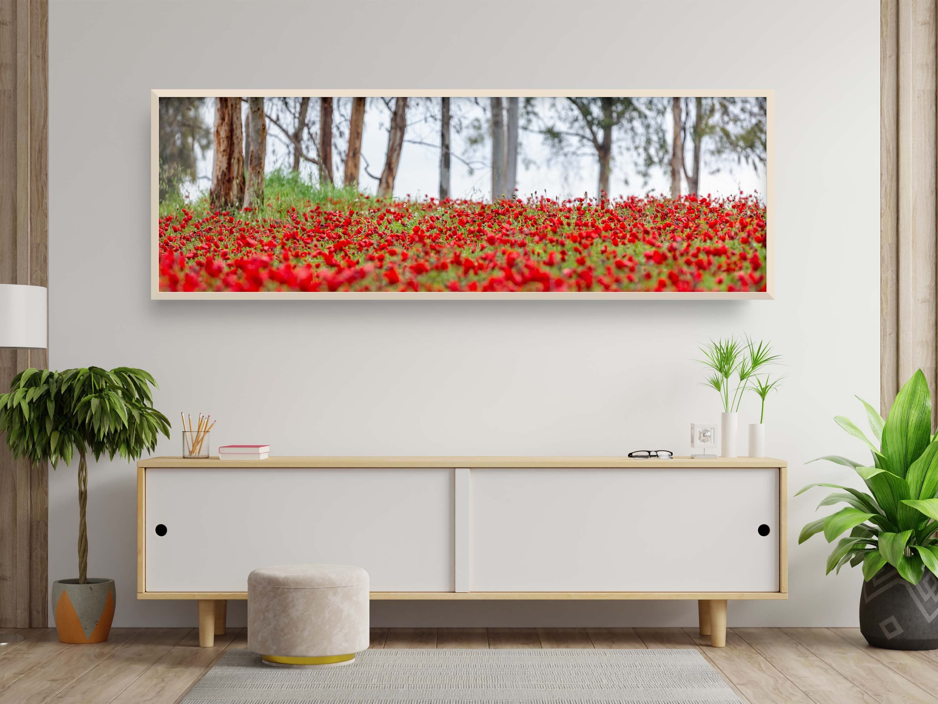 Israeli Holy Land Panoramic Landscape Print: Red Anemones Wildflower