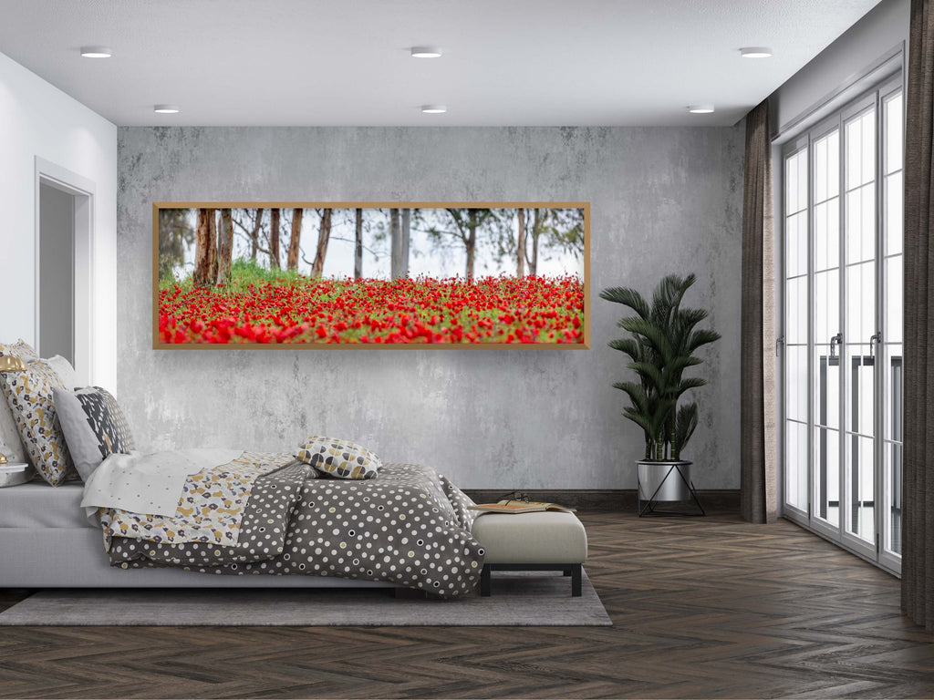 Israeli Holy Land Panoramic Landscape Print: Red Anemones Wildflower