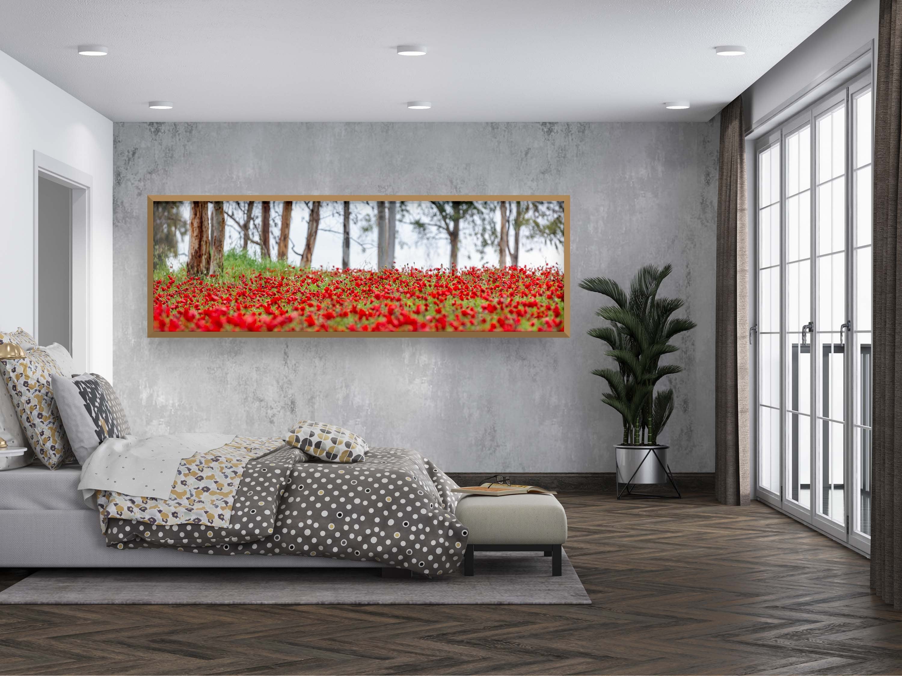 Israeli Holy Land Panoramic Landscape Print: Red Anemones Wildflower