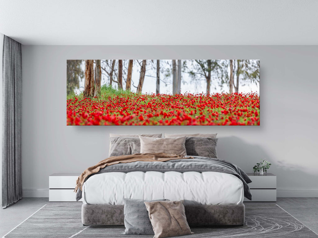 Israeli Holy Land Panoramic Landscape Print: Red Anemones Wildflower