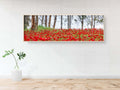 Israeli Holy Land Panoramic Landscape Print: Red Anemones Wildflower