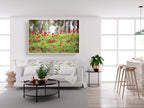 Red Wild Anemone Flowers and Trees — Israeli Holy Land Country