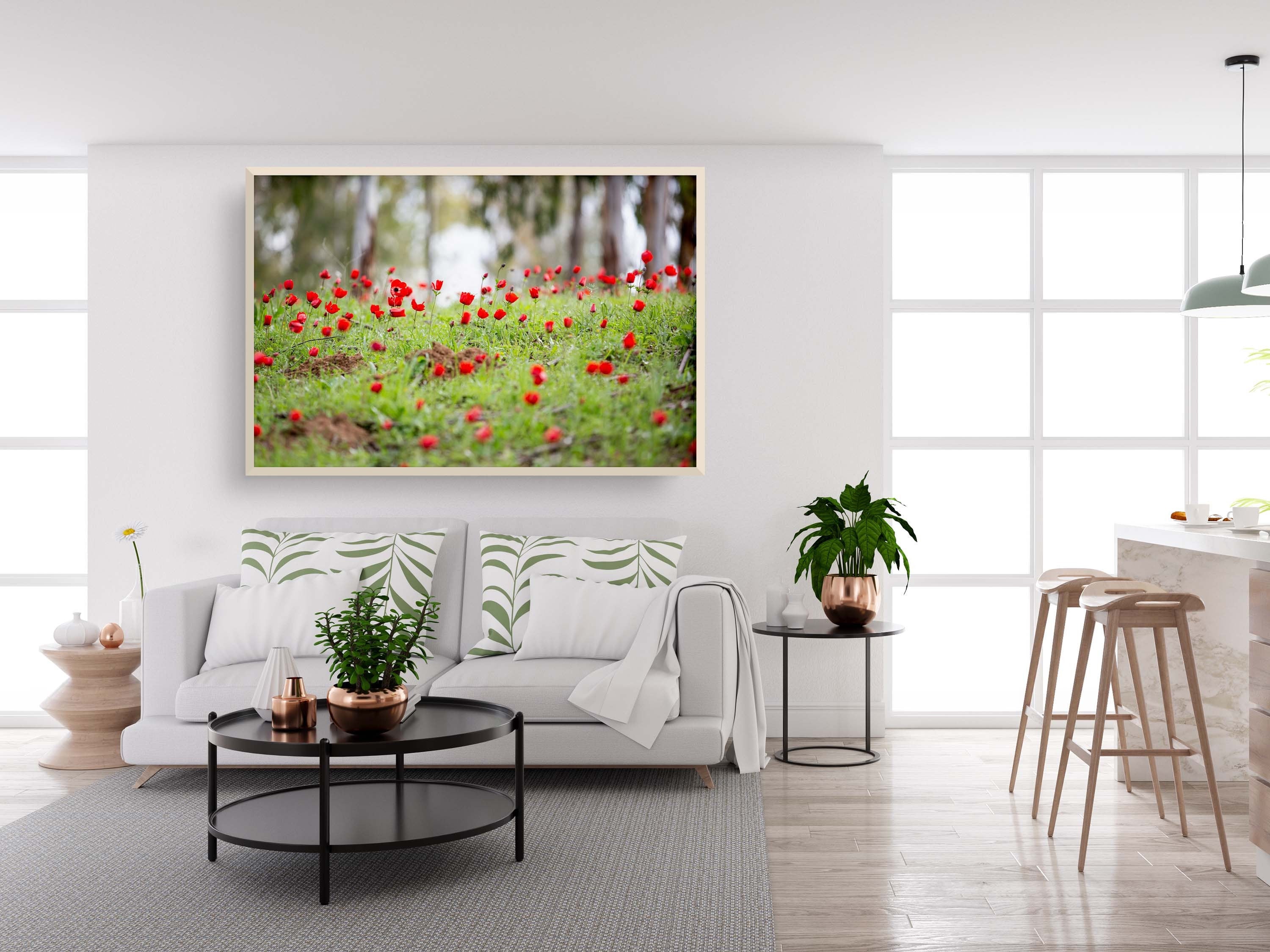 Red Wild Anemone Flowers and Trees — Israeli Holy Land Country