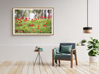 Red Wild Anemone Flowers and Trees — Israeli Holy Land Country