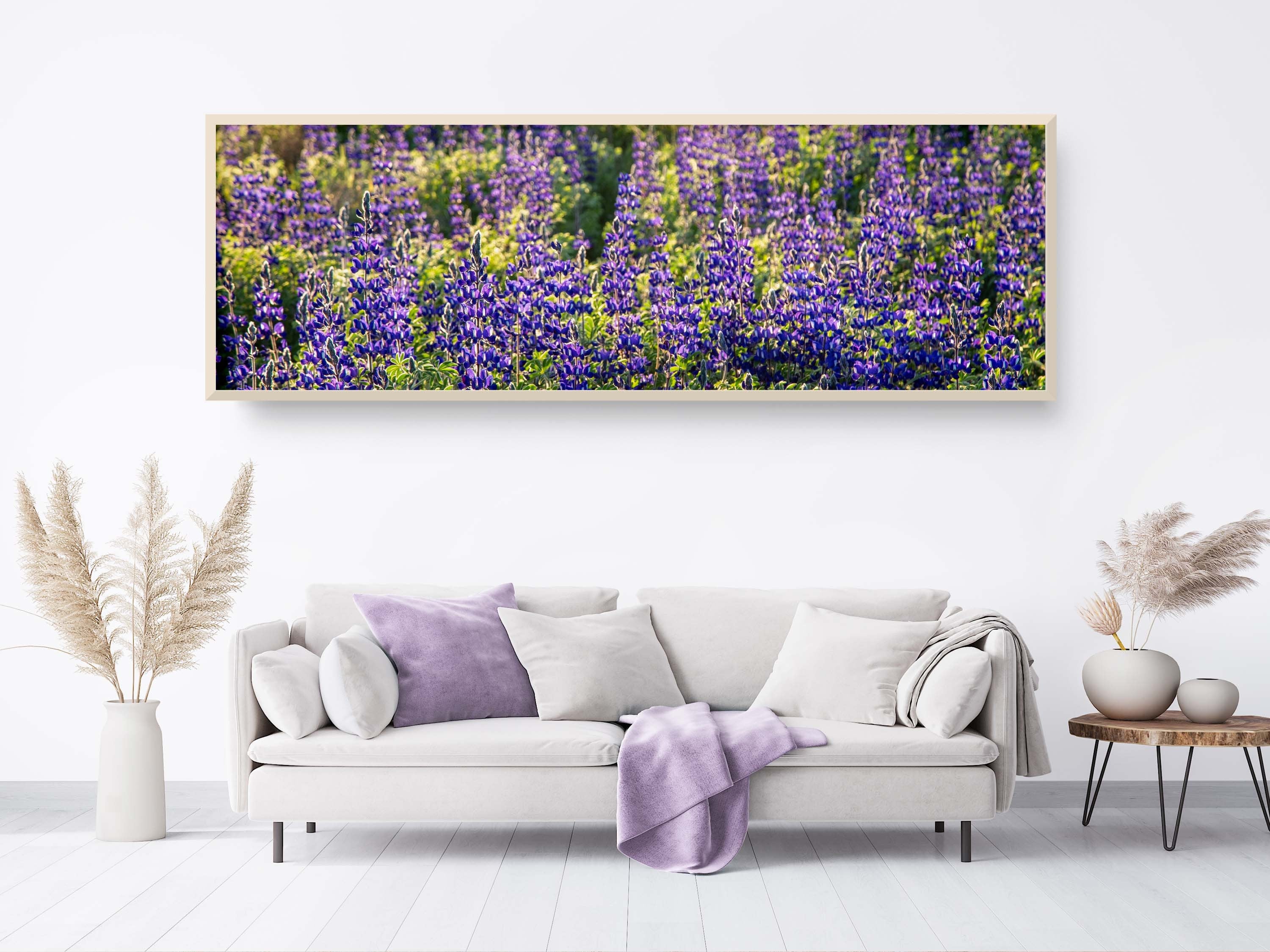 Panoramic Wild Israeli Holy Land Purple Flowers — Lupine Turmus Spring Flowering Field Landscape