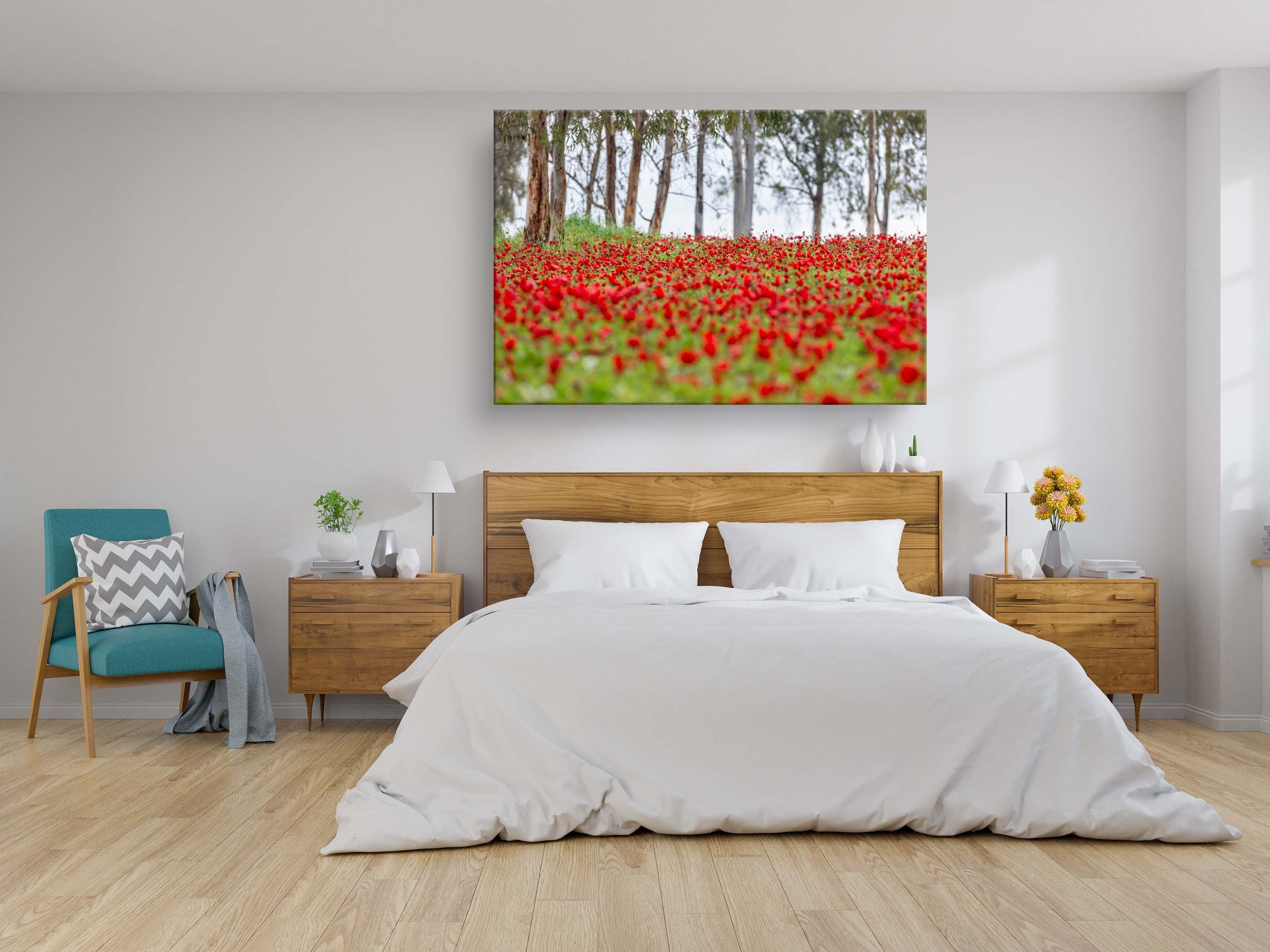 Red Wild Anemone Flowers and Tree Trunks — Israeli Holy Land Nature