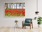 Red Wild Anemone Flowers and Tree Trunks — Israeli Holy Land Nature