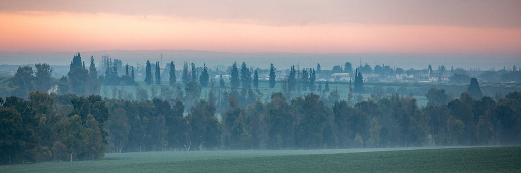 Holy Land Israeli Sunrise Panoramic Landscape: Green Field and Trees, Kibbutz Beeri