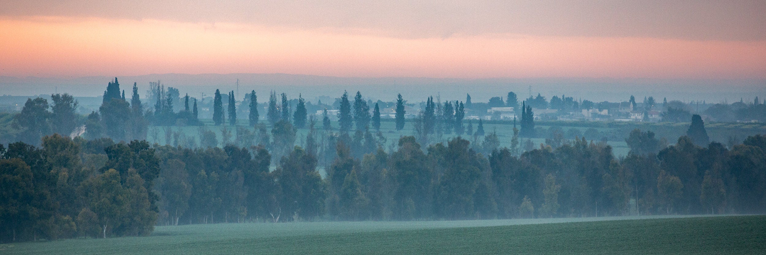 Holy Land Israeli Sunrise Panoramic Landscape: Green Field and Trees, Kibbutz Beeri