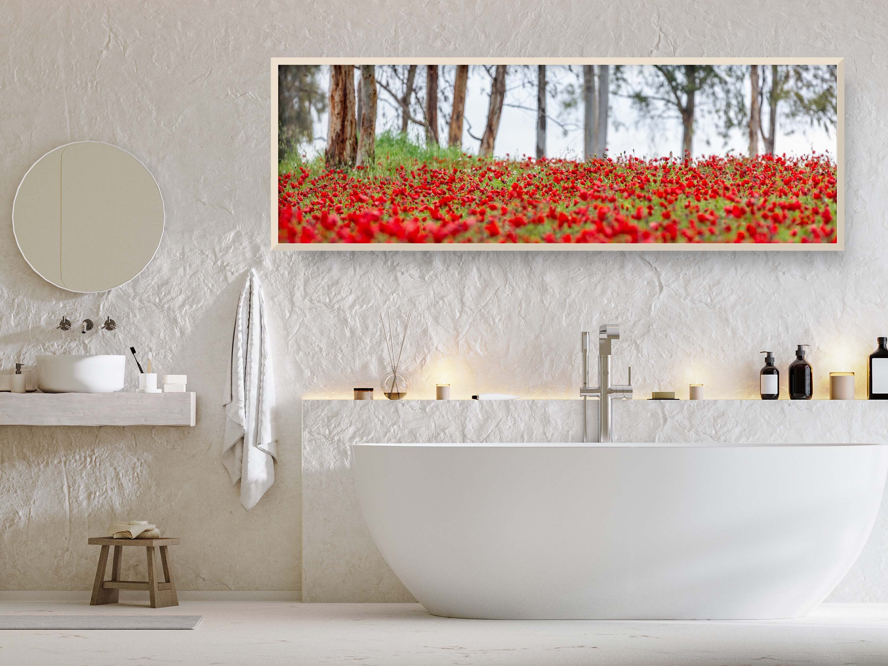 Israeli Holy Land Panoramic Landscape Print: Red Anemones Wildflower