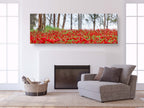 Israeli Holy Land Panoramic Landscape Print: Red Anemones Wildflower