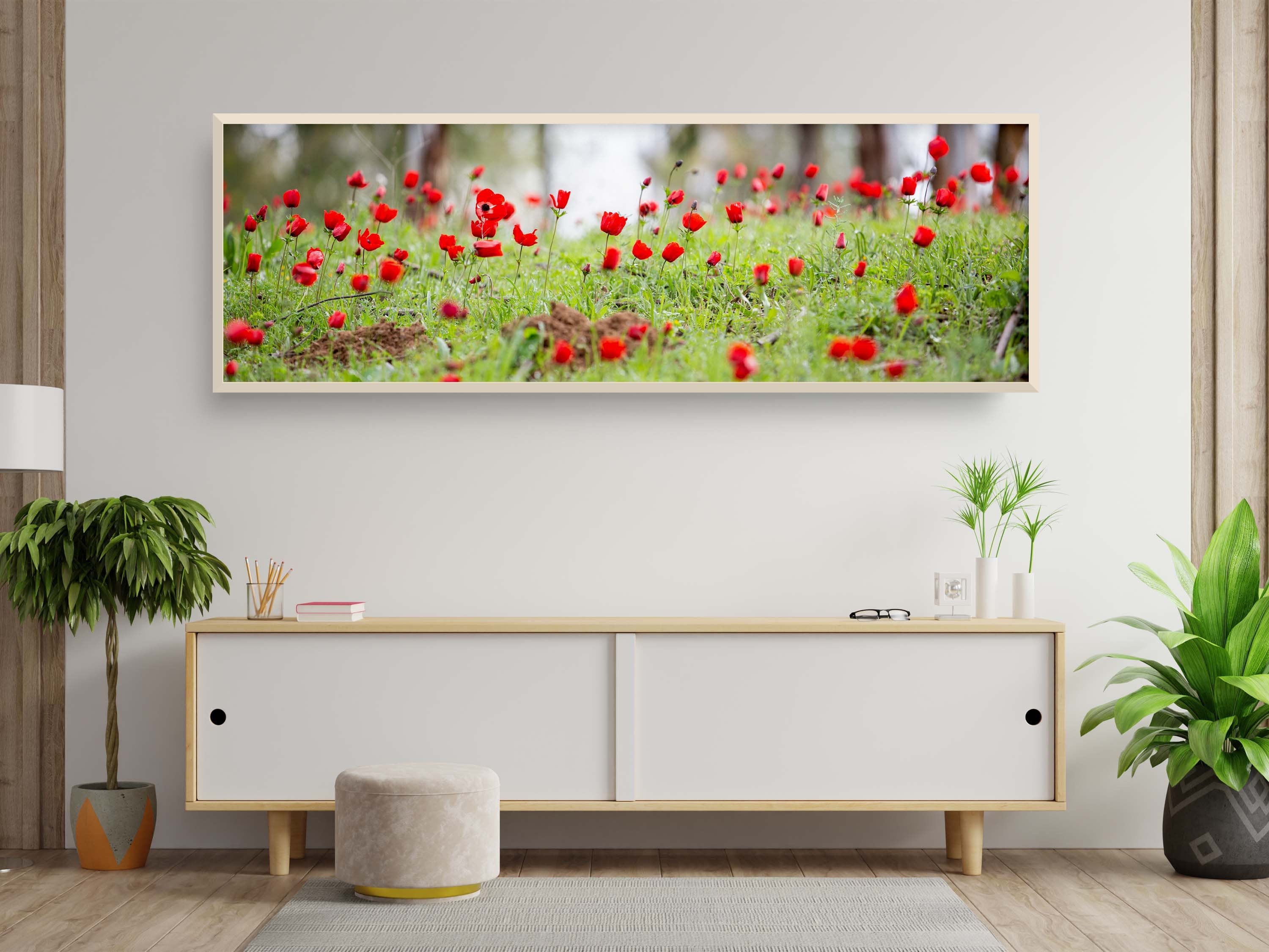 Panoramic Red Wild Anemone Flowers and Trees — Israeli Holy Land Country