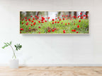 Panoramic Red Wild Anemone Flowers and Trees — Israeli Holy Land Country