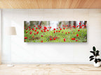 Panoramic Red Wild Anemone Flowers and Trees — Israeli Holy Land Country