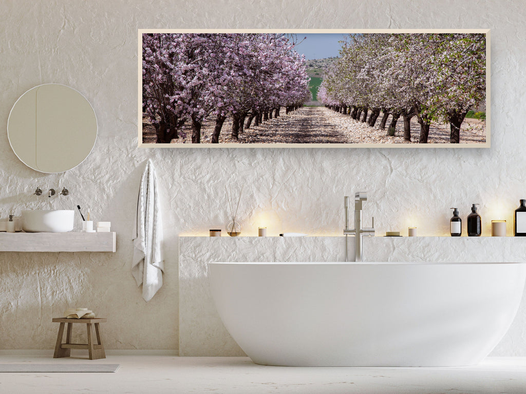 Panoramic Blossom Almond Trees Landscape — Israel Holy Land Nature