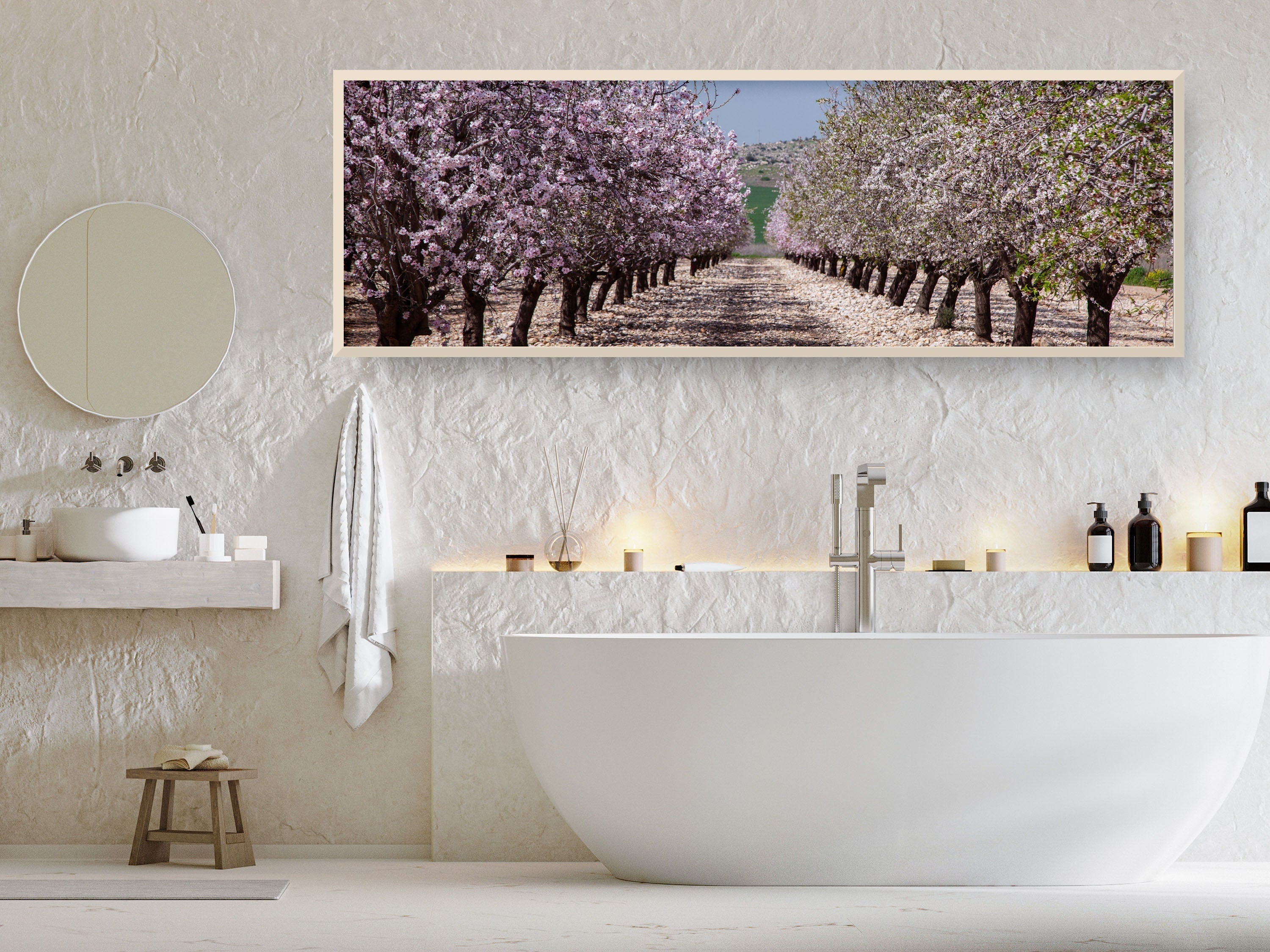 Panoramic Blossom Almond Trees Landscape — Israel Holy Land Nature