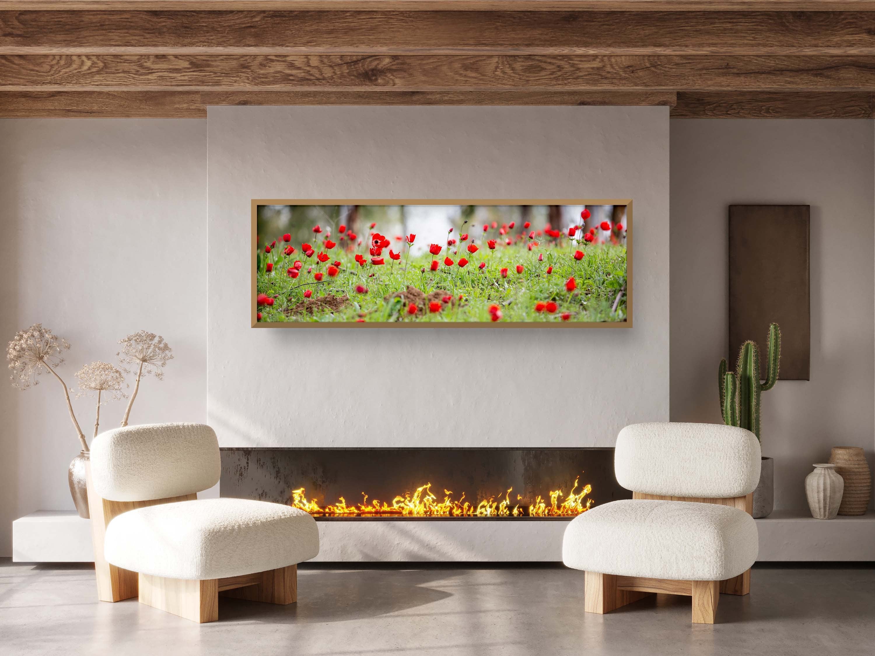 Panoramic Red Wild Anemone Flowers and Trees — Israeli Holy Land Country