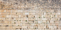 Extra Large Panoramic Kotel Western Wall with Green Vegetation