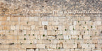 Extra Large Panoramic Kotel Western Wall with Green Vegetation