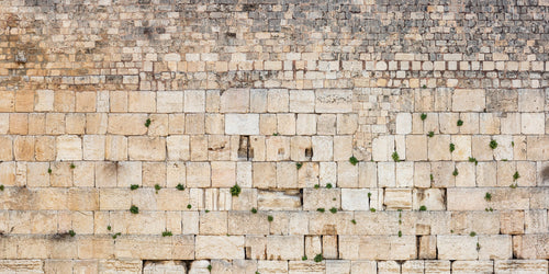Extra Large Panoramic Kotel Western Wall with Green Vegetation