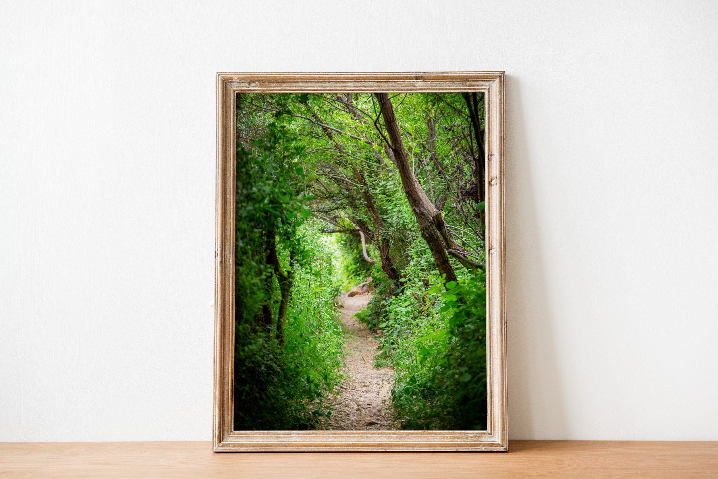 Galilee Landscape Print: Holy Land Israeli Green Nature Path, Galilee