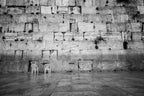Black and White Kotel — Western Wall Empty with Two Chairs