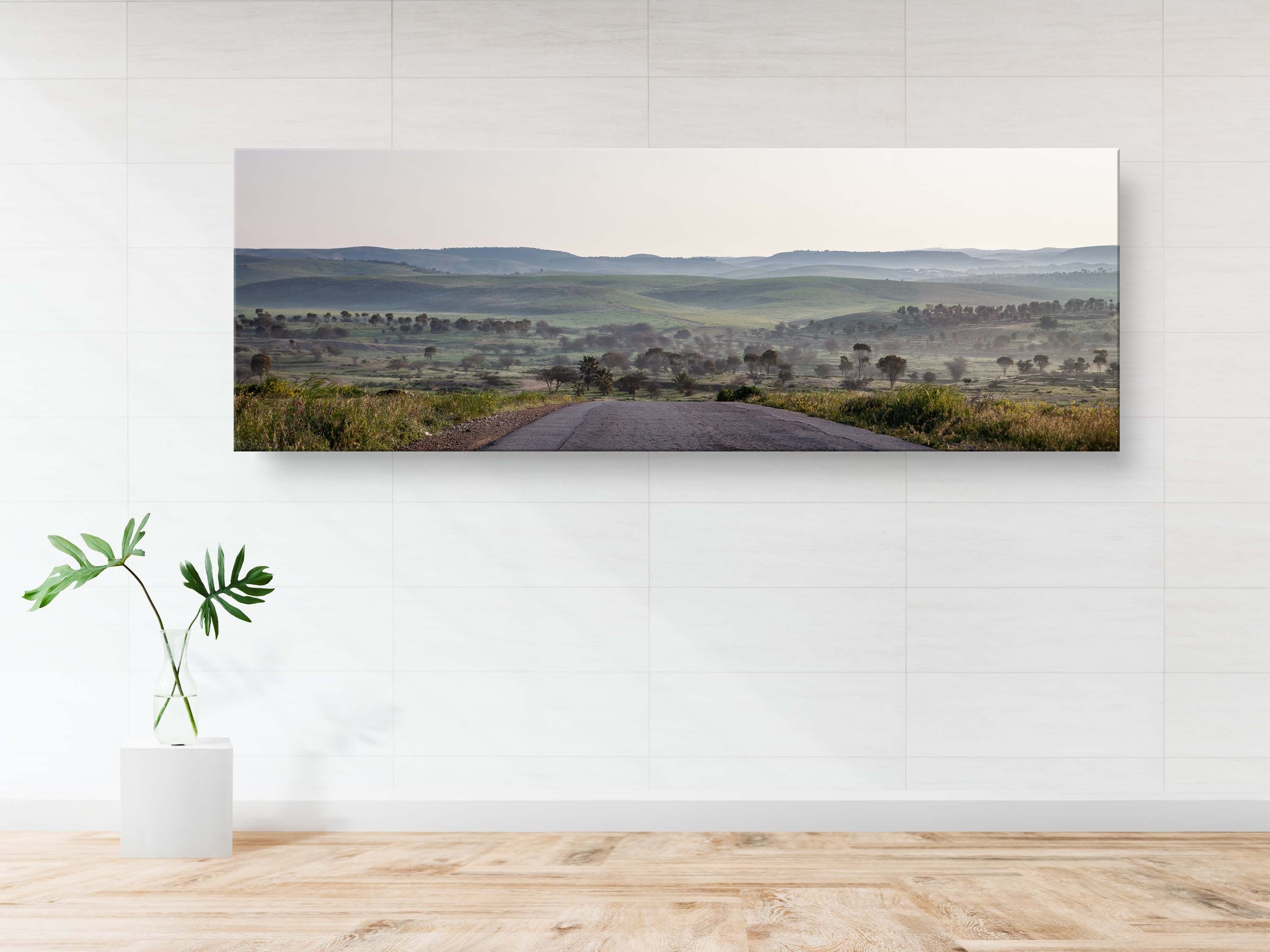 Israel Holy Land Panoramic Green Forest Landscape