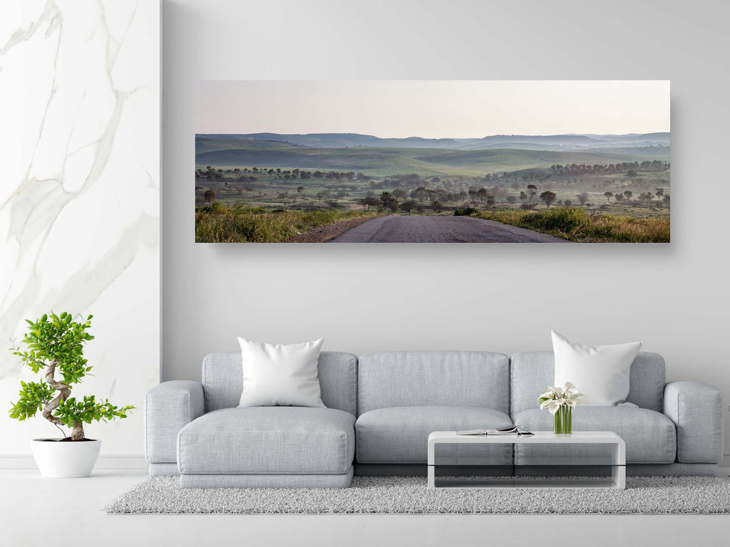 Israel Holy Land Panoramic Green Forest Landscape