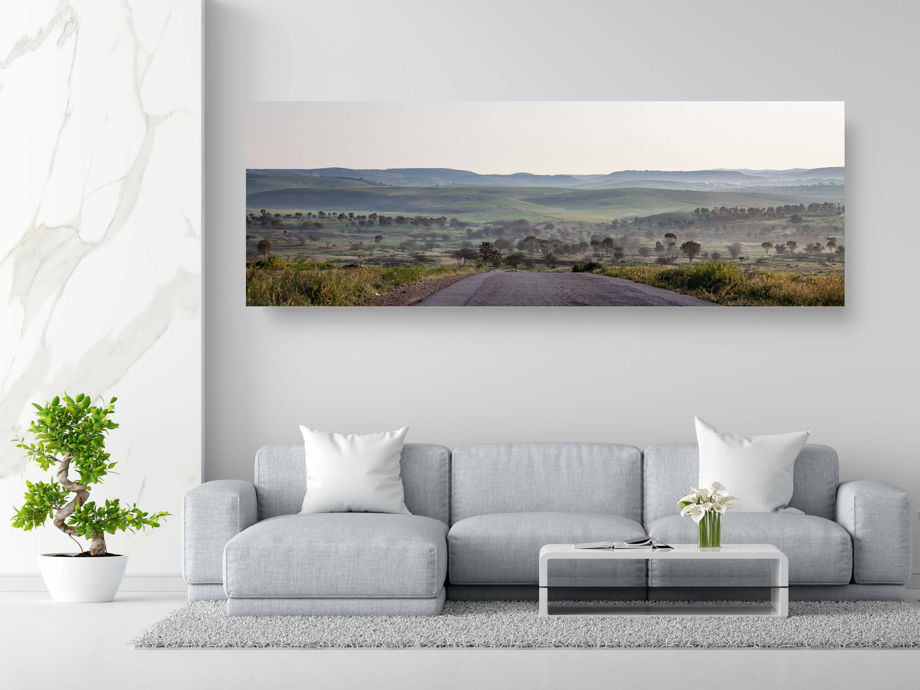 Israel Holy Land Panoramic Green Forest Landscape