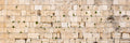 Panoramic Kotel Western Wall Stones with Green Vegetation