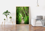 Galilee Landscape Print: Holy Land Israeli Green Nature Path, Galilee