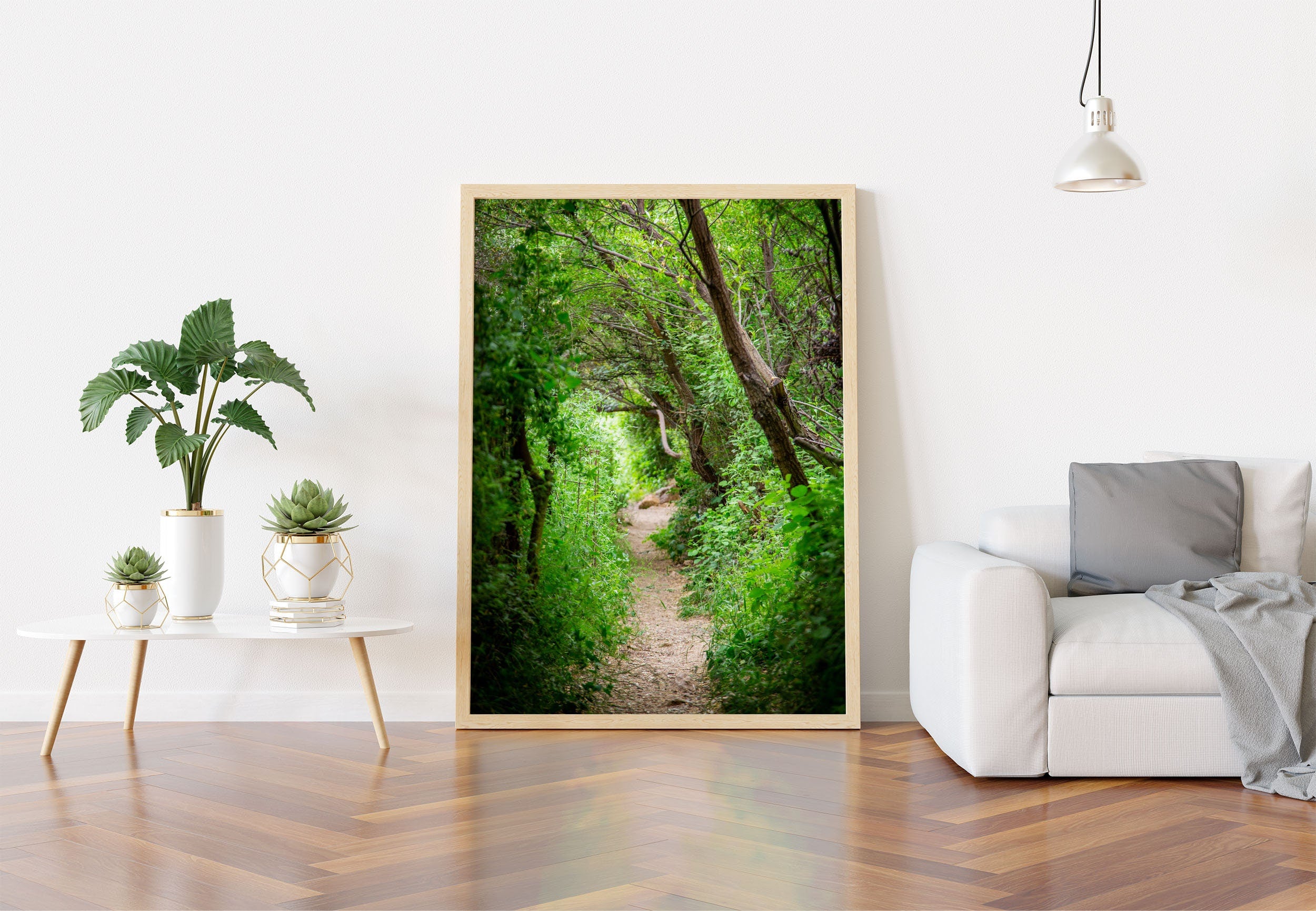 Galilee Landscape Print: Holy Land Israeli Green Nature Path, Galilee