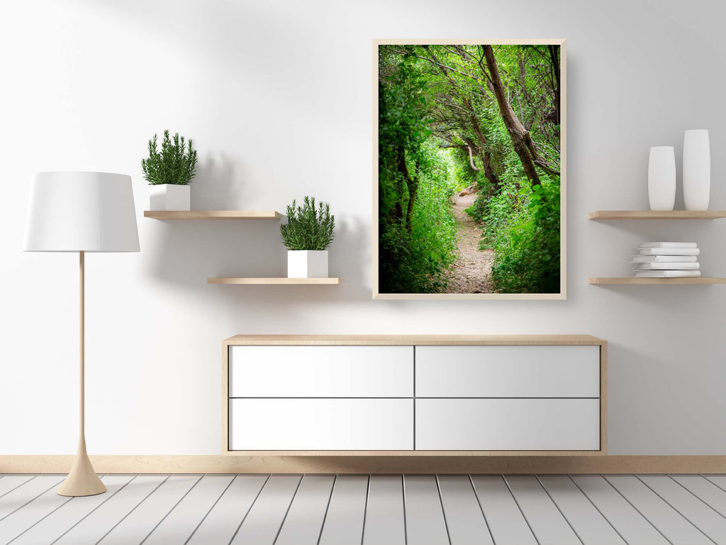 Galilee Landscape Print: Holy Land Israeli Green Nature Path, Galilee