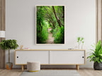 Galilee Landscape Print: Holy Land Israeli Green Nature Path, Galilee