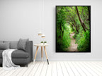 Galilee Landscape Print: Holy Land Israeli Green Nature Path, Galilee