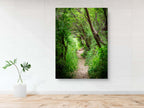 Galilee Landscape Print: Holy Land Israeli Green Nature Path, Galilee