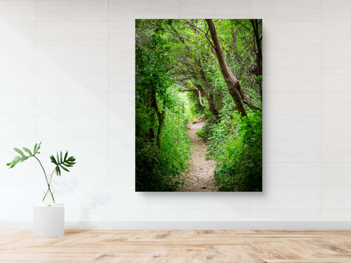 Galilee Landscape Print: Holy Land Israeli Green Nature Path, Galilee