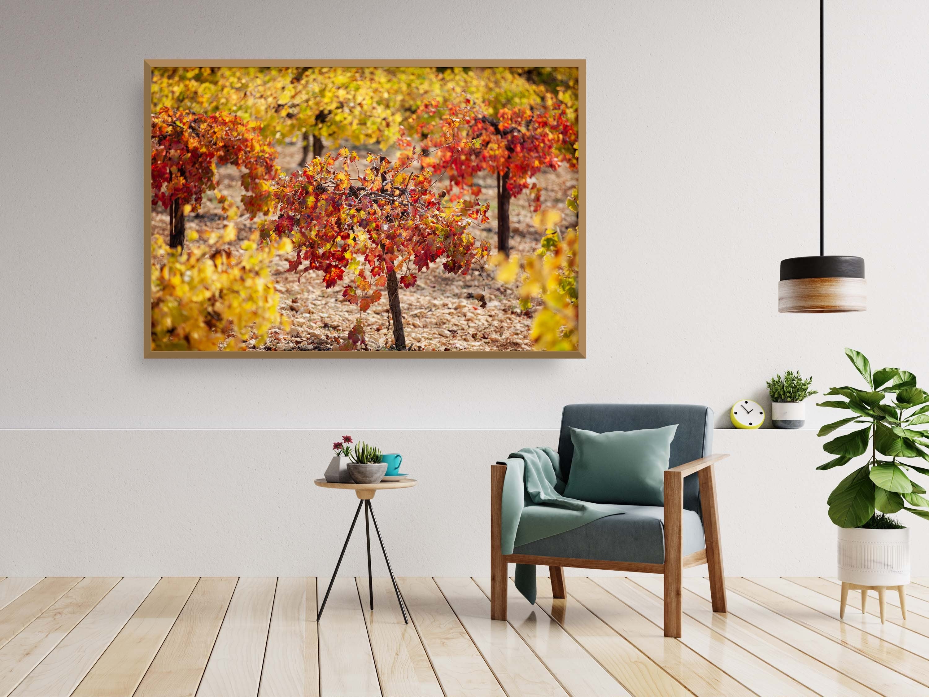 Israeli Autumn Vineyard — Red and Yellow Vineyard Leaves — Holy Land Seven Species