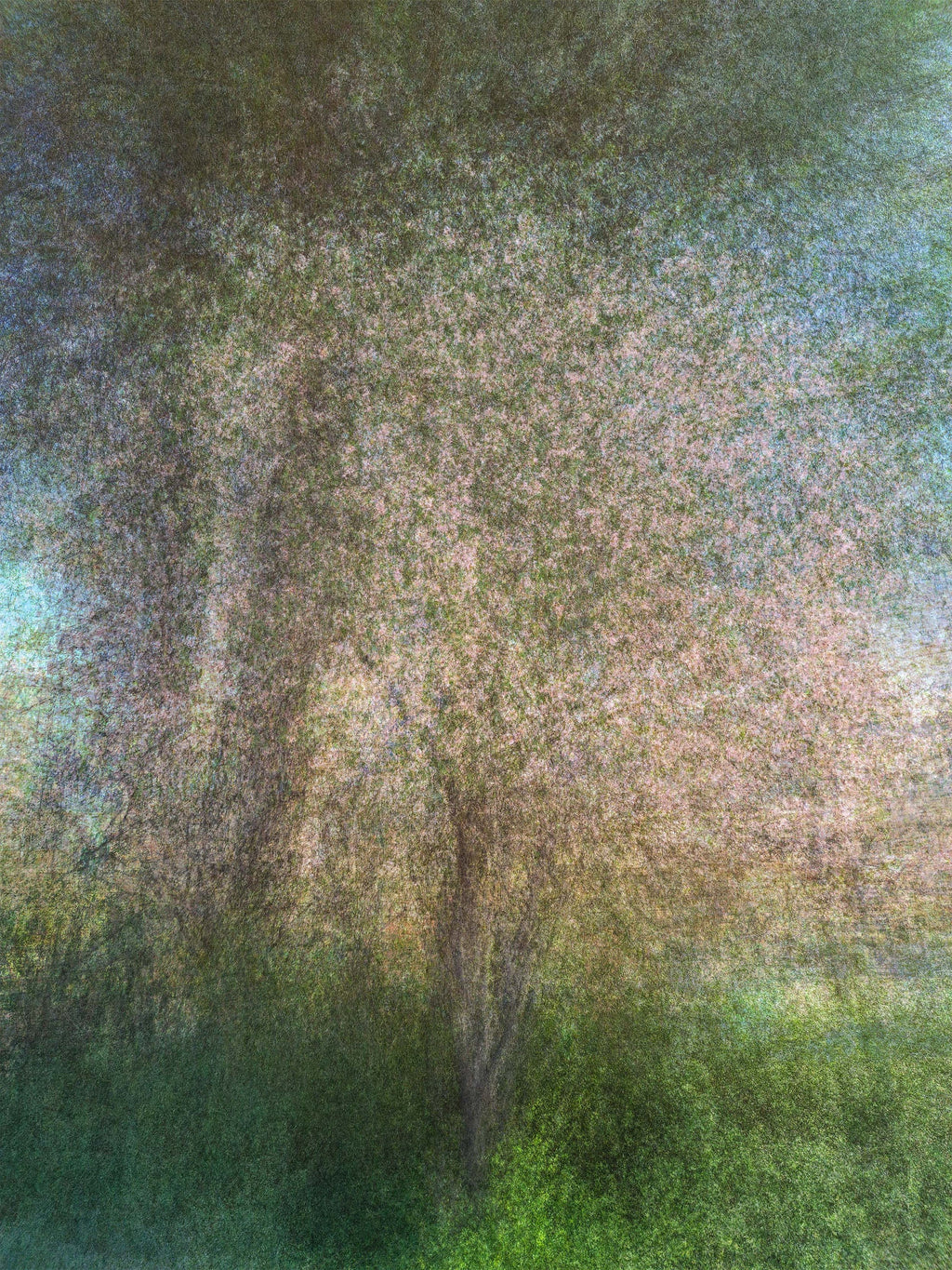 Holy Land Almond Tree Impressionist Painting — Jerusalem Almond Blossom