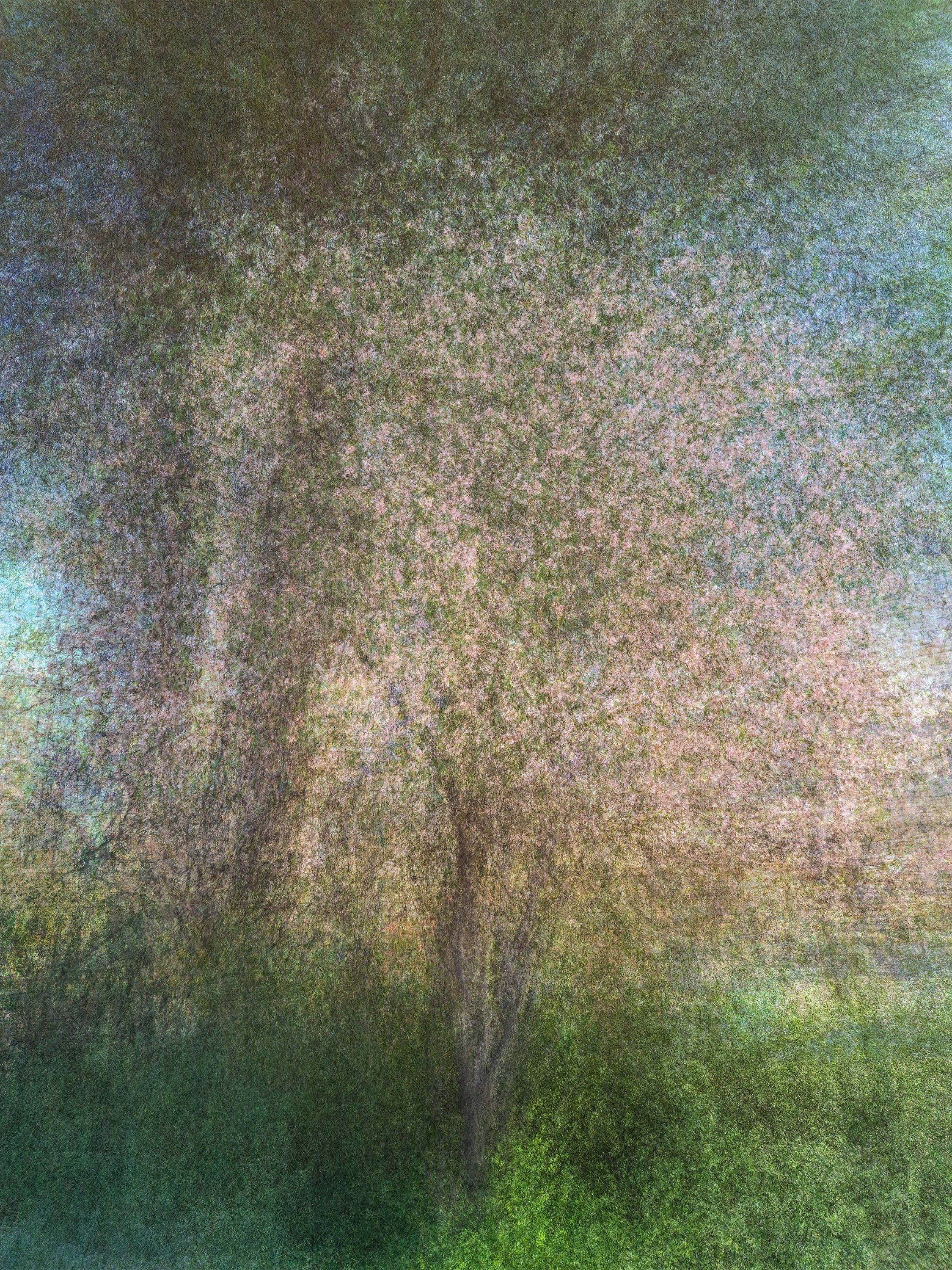 Holy Land Almond Tree Impressionist Painting — Jerusalem Almond Blossom