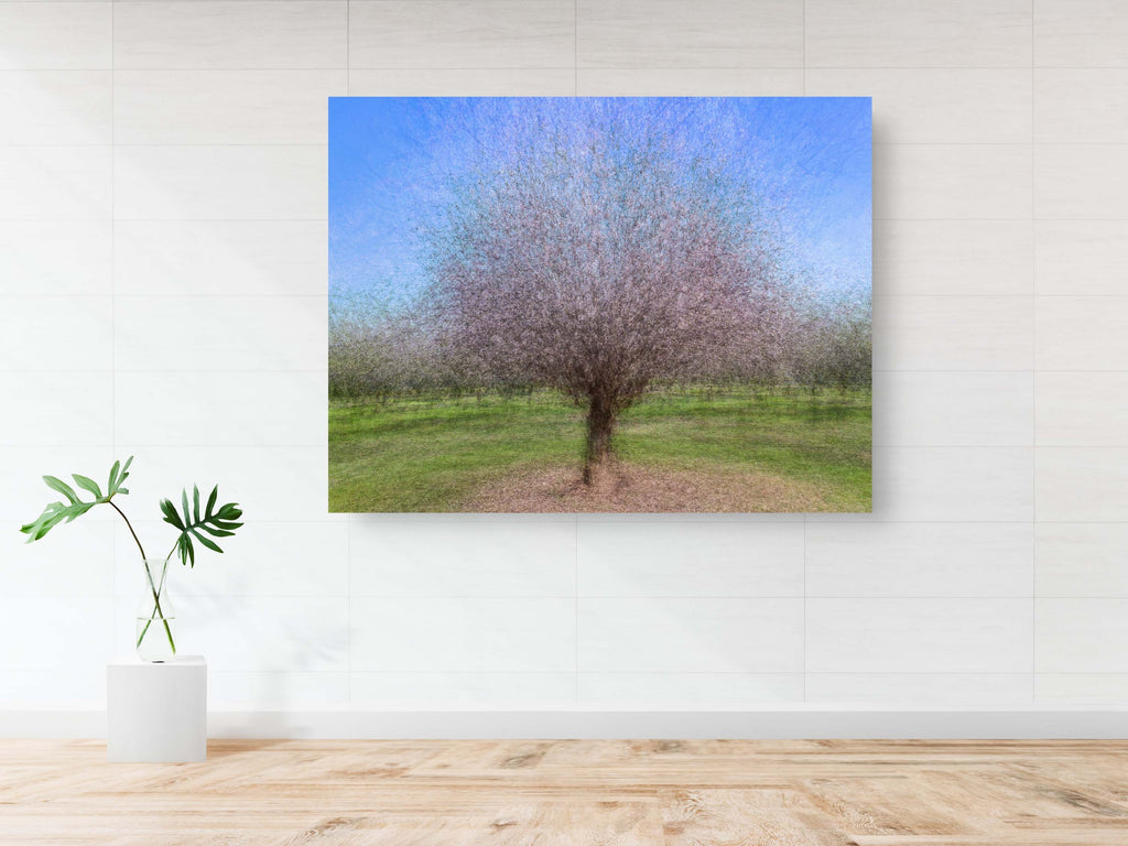 Holy Land Almond Tree Impressionist Painting — Israeli Almond Blossom