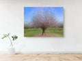 Holy Land Almond Tree Impressionist Painting — Israeli Almond Blossom