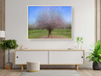 Holy Land Almond Tree Impressionist Painting — Israeli Almond Blossom