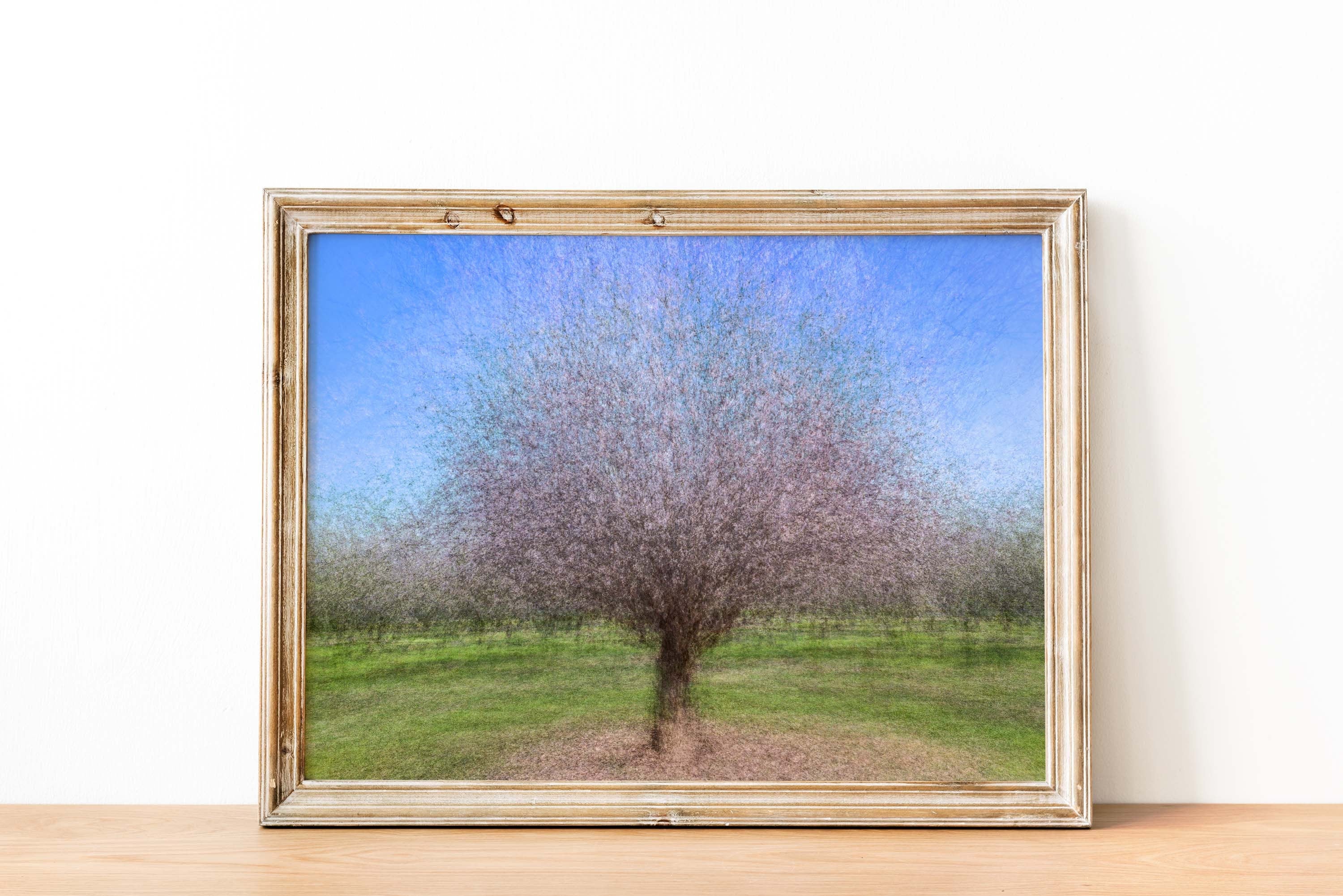 Holy Land Almond Tree Impressionist Painting — Israeli Almond Blossom