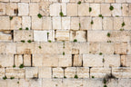 Kotel Western Wall Art Print: Jewish Wall Decor, Israel Photography