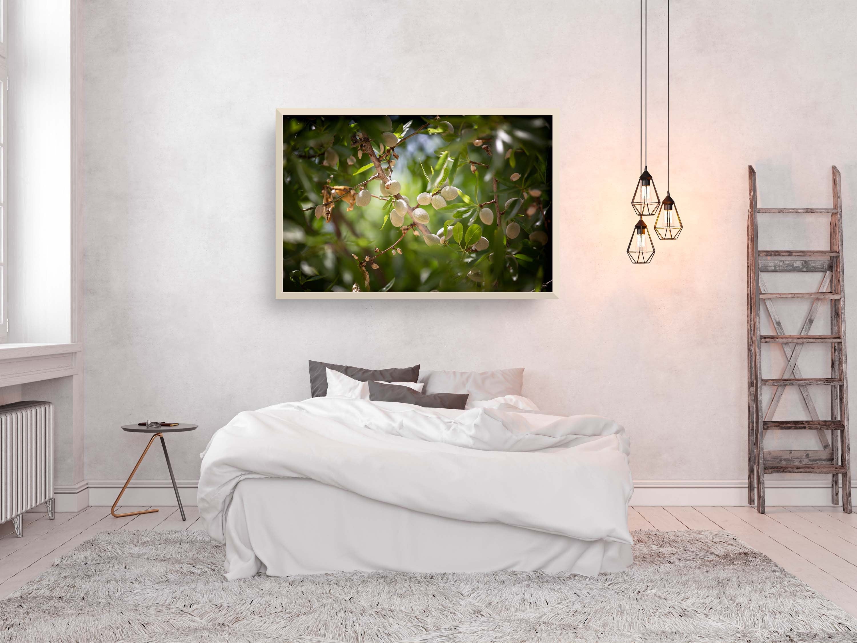 Holy Land Almonds — Israeli Nature Tree