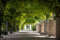 Jerusalem Green Trees Pedestrian Street with Ivy and Bell - Holy Land Liberty Bell Park