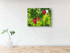 Holy Land Red Pomegranates Rimonim Tree — Kitchen